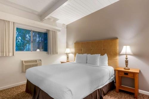 Best Western Plus Santa Barbara — Guest room
