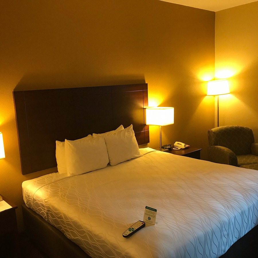 Best Western Plus Springfield Airport Inn — Guest room