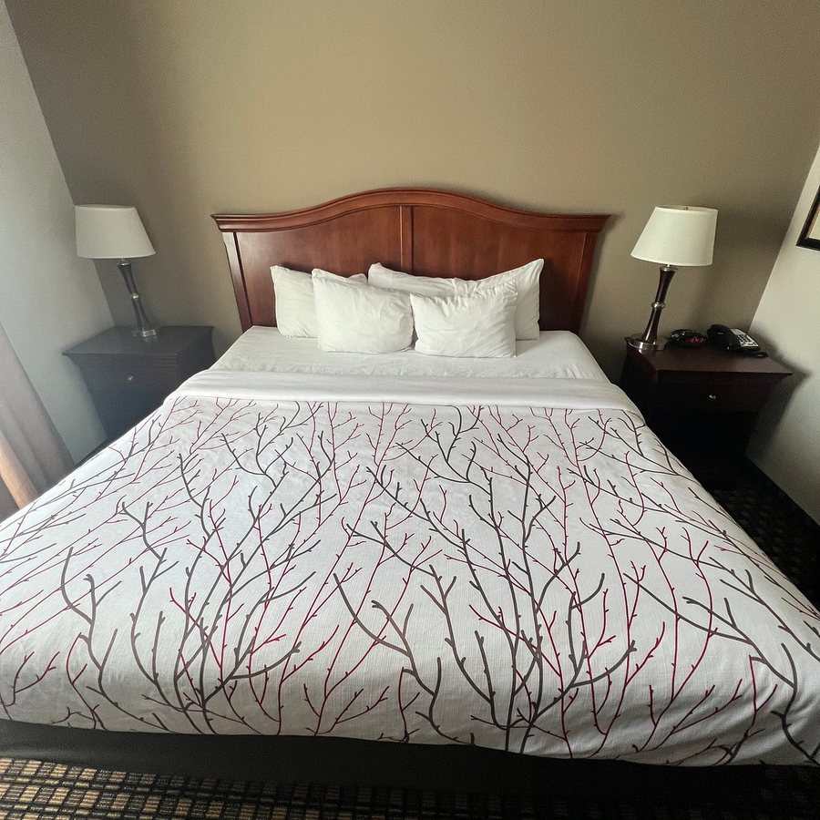 Best Western Plus Sweetwater Inn Suites — Guest room