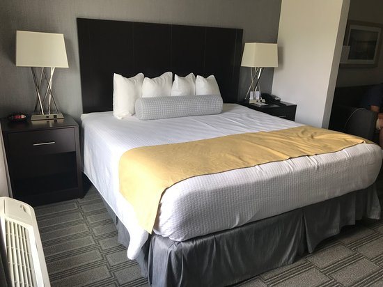Best Western Plus The Hammondsport Hotel — Guest room
