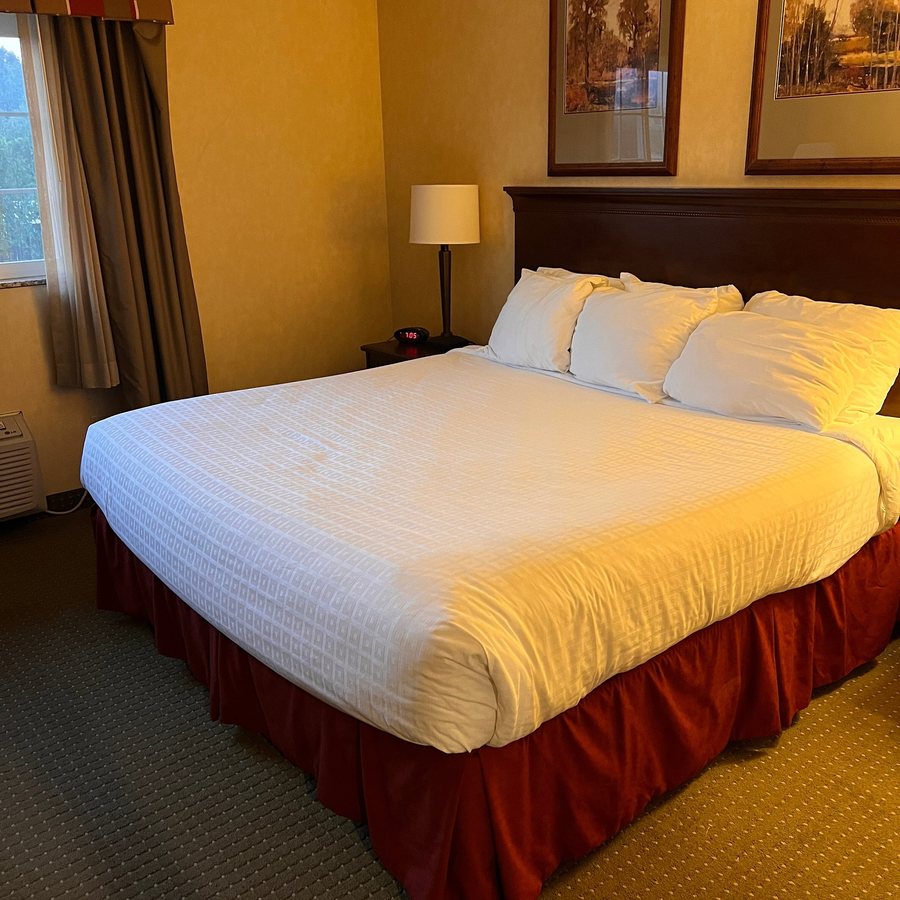 Best Western Plus Ticonderoga Inn Suites — Guest room