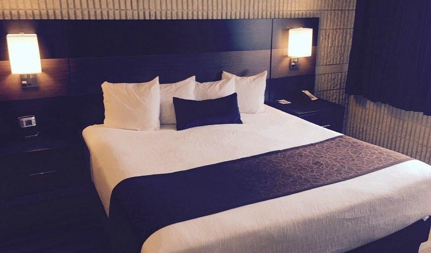 Best Western Plus University Inn — Guest room