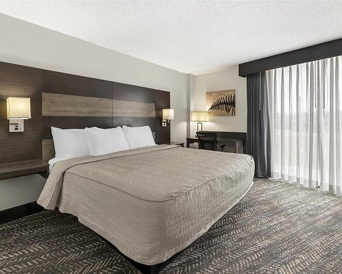 Best Western Plus Wausau Tower Inn — Guest room