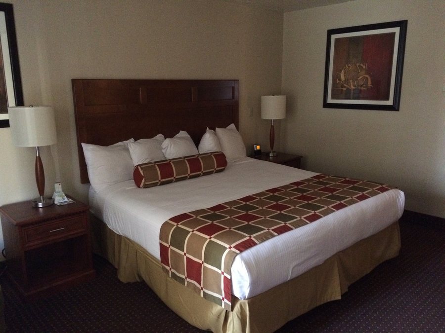 Best Western Plus Weston Inn — Guest room