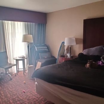 Best Western Pony Soldier Inn Airport — Guest room