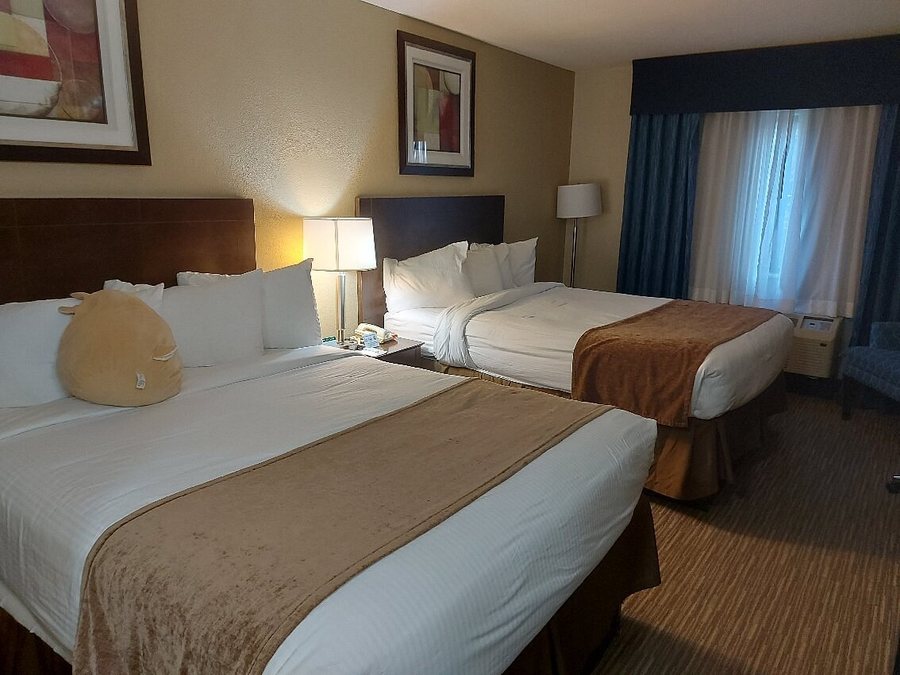 Best Western Port Huron Blue Water Bridge — Guest room