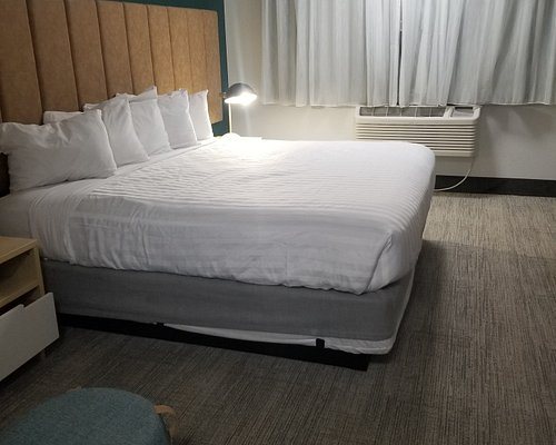 Best Western Portland West Beaverton — Guest room