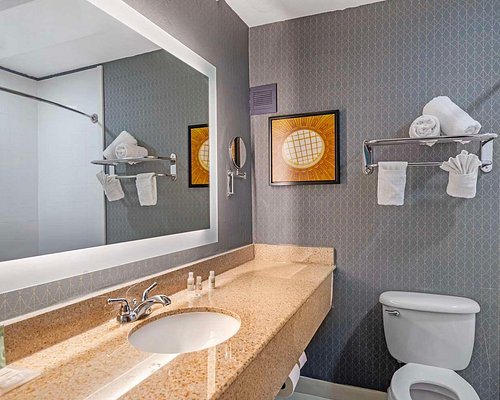 Best Western Premier Richmond City Gateway — Bathroom