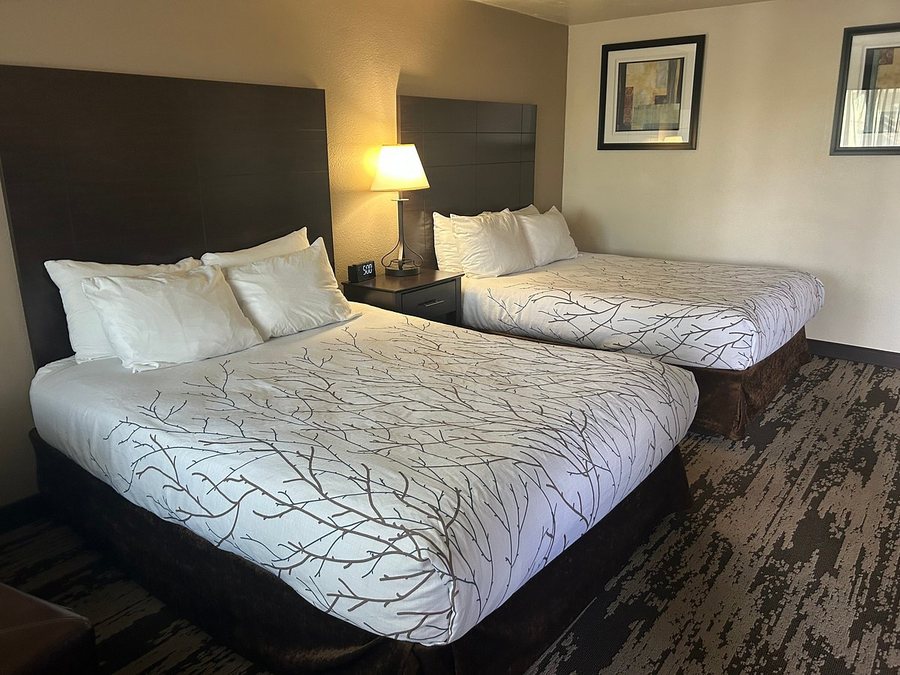 Best Western Prescottonian — Guest room