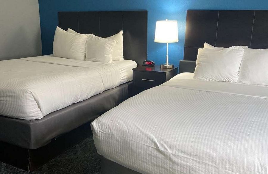 Best Western Rochester Hotel Mayo Clinic Area St Mary s — Guest room