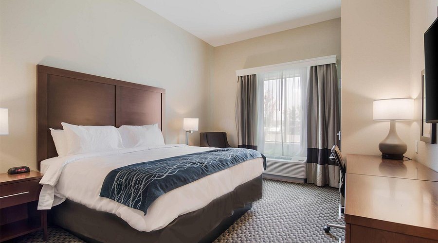 Best Western Rock Hill — Guest room