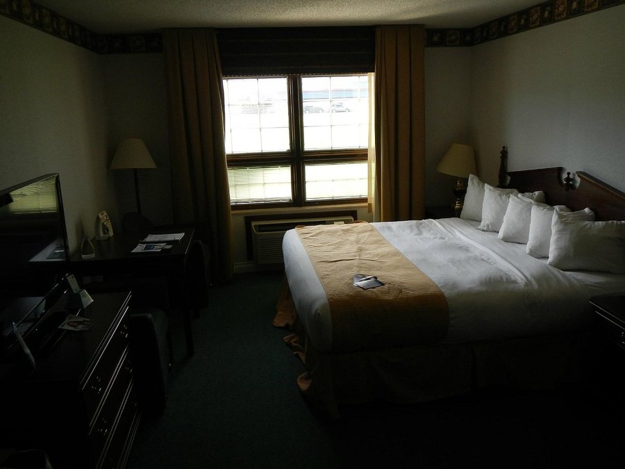 Best Western Sault Ste Marie — Guest room