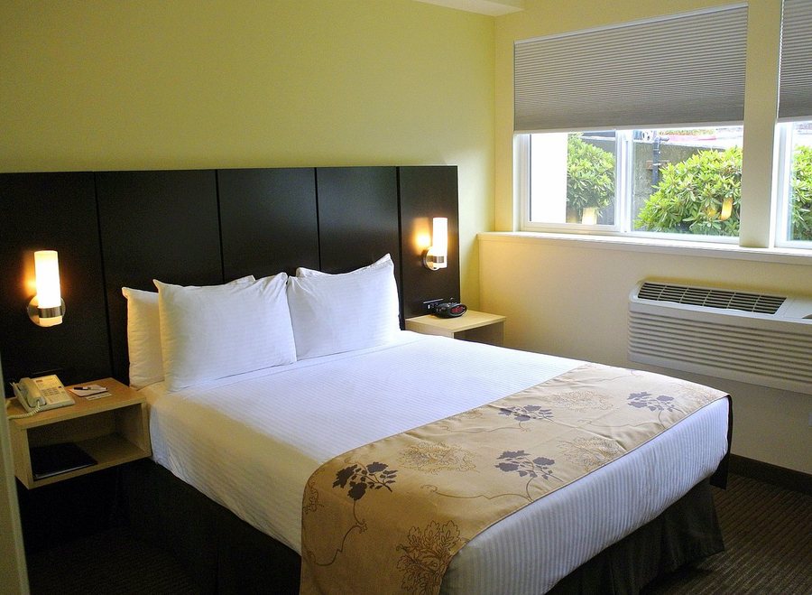 Best Western Seattle Airport Hotel — Guest room