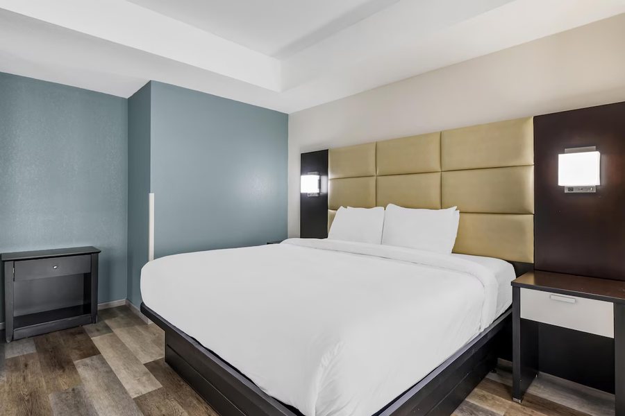 Best Western Shackleford — Guest room