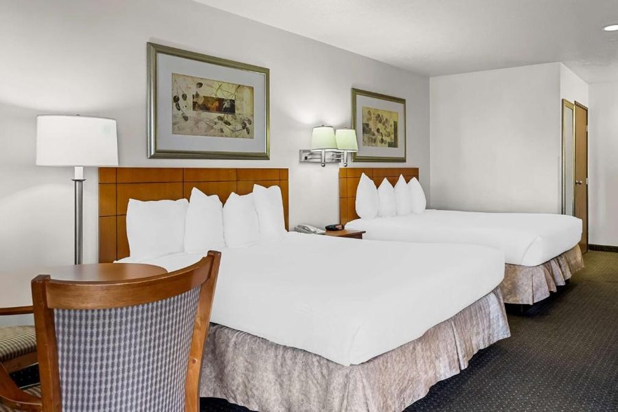 Best Western Socorro Hotel Suites — Guest room