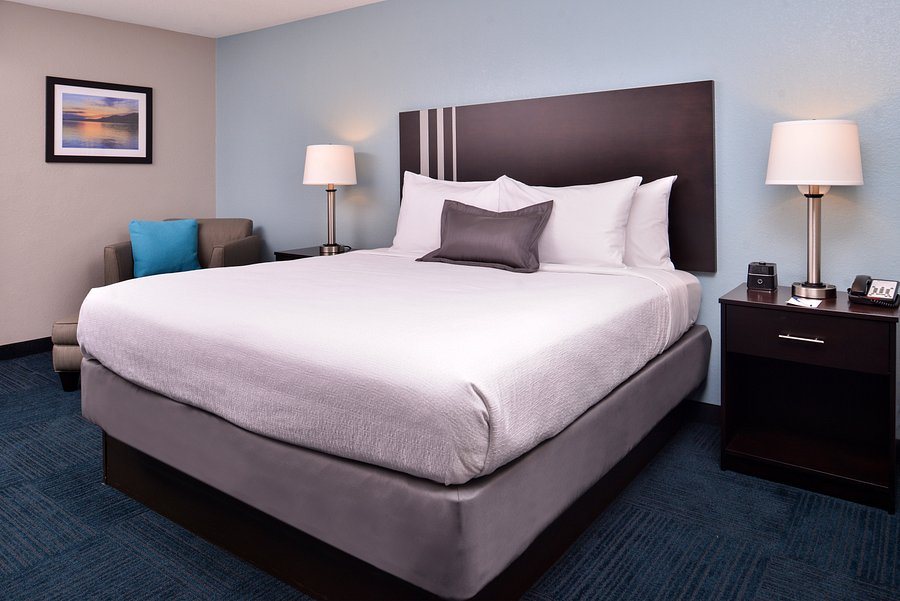 Best Western St Clairsville Inn Suites — Guest room