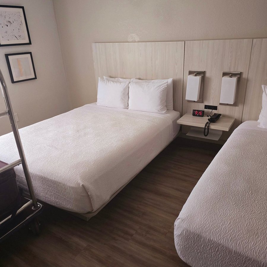 Best Western Sugarland Inn — Guest room