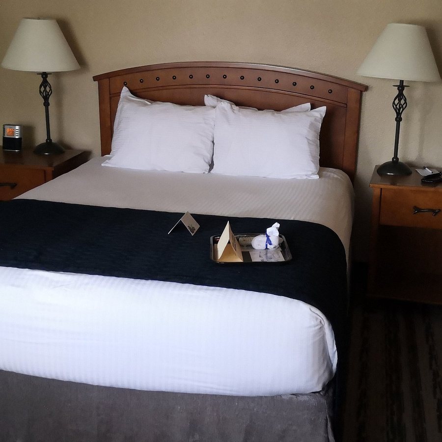 Best Western Sunset Inn — Guest room