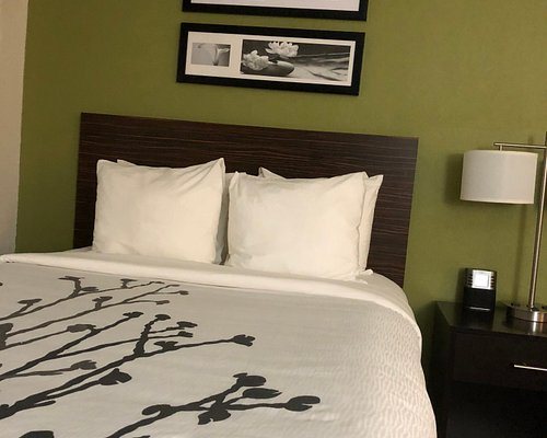 Best Western Superstition Springs Inn — Guest room