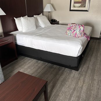 Best Western Tampa — Guest room