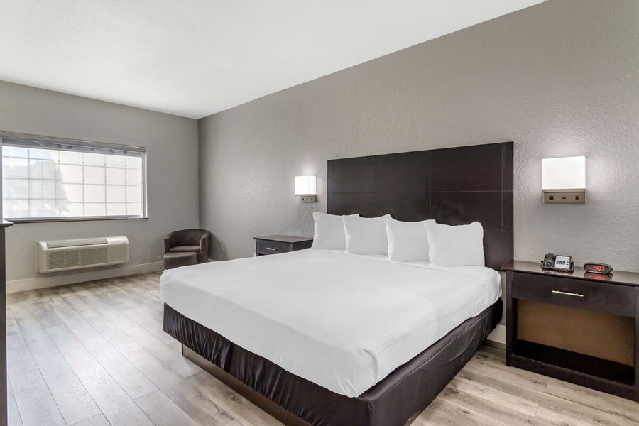 Best Western Texas City — Guest room