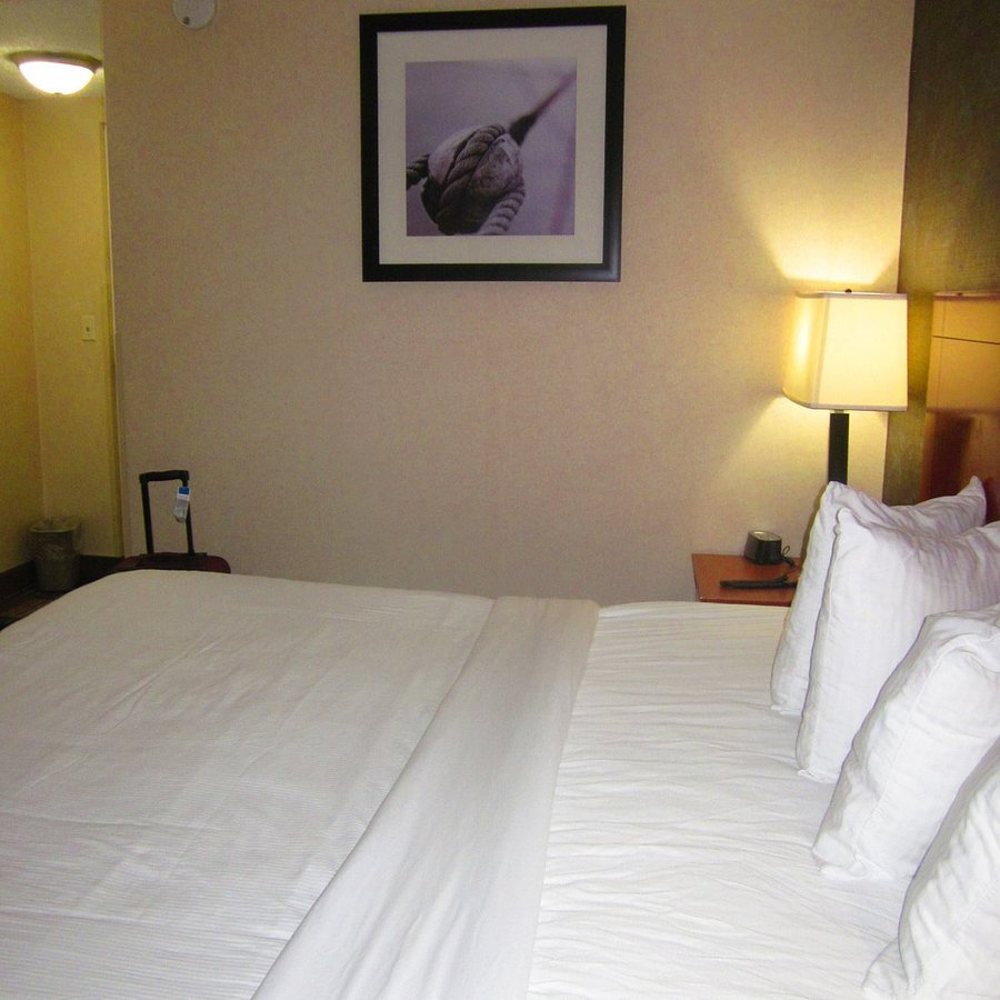 Best Western The Inn at Rochester Airport — Guest room