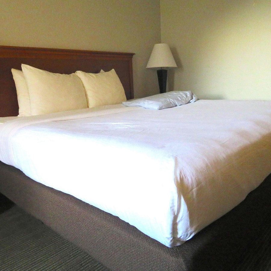 Best Western Tomah Hotel — Guest room