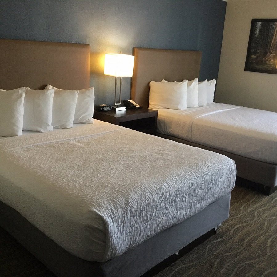 Best Western Town Country Lodge — Guest room
