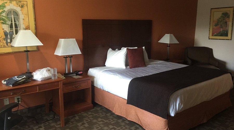 Best Western University Inn — Guest room