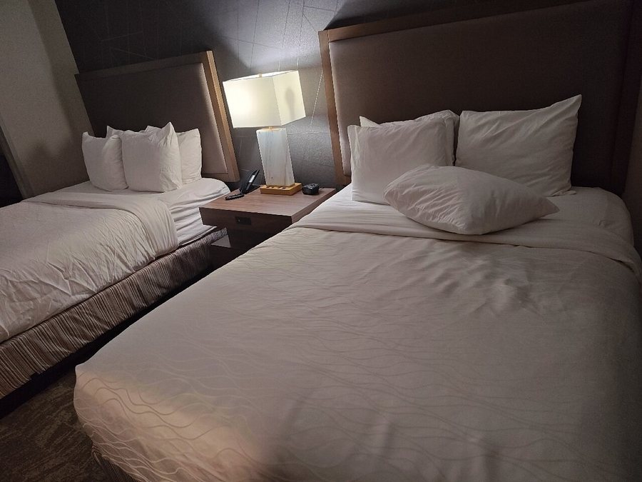 Best Western Valencia Six Flags Inn Suites — Guest room