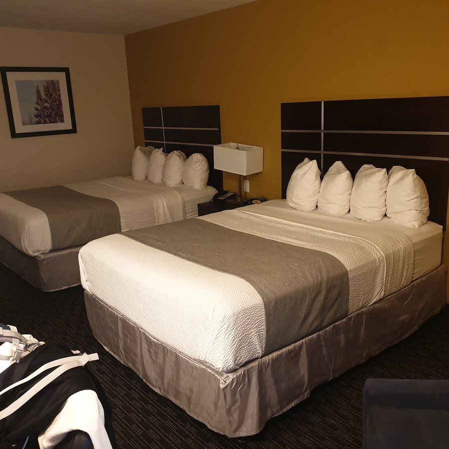 Best Western Village Inn — Guest room