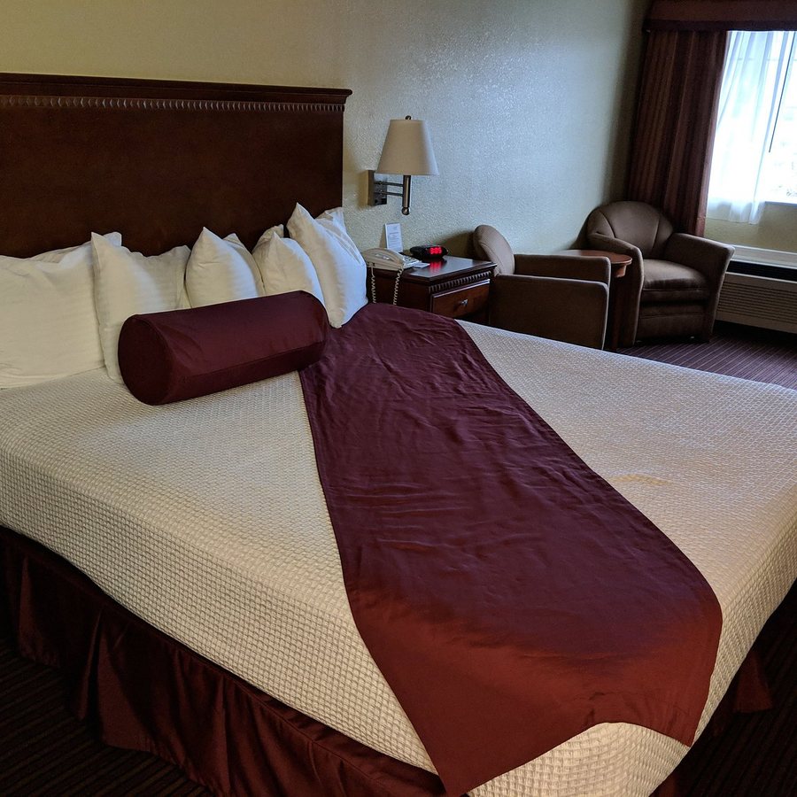 Best Western Willits Inn — Guest room