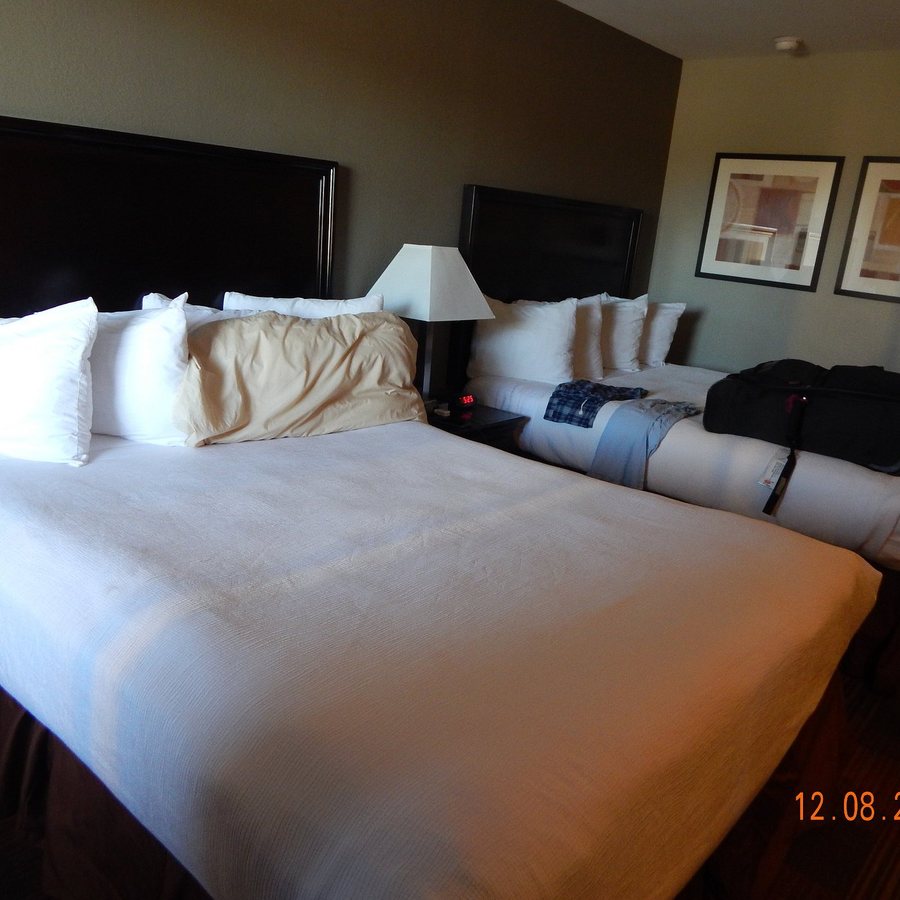 Best Western Willows Inn — Guest room