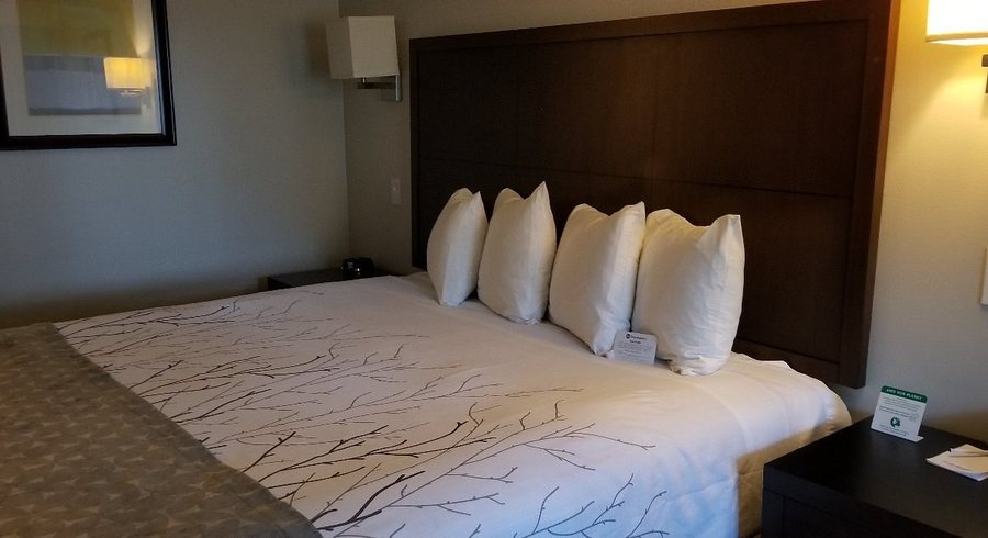 Best Western Woodland Hills Inn Los Angeles California — Guest room