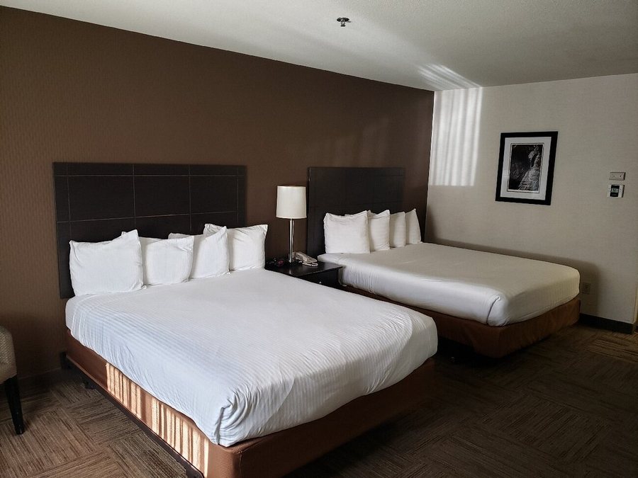 Best Western Yuba City Inn — Guest room