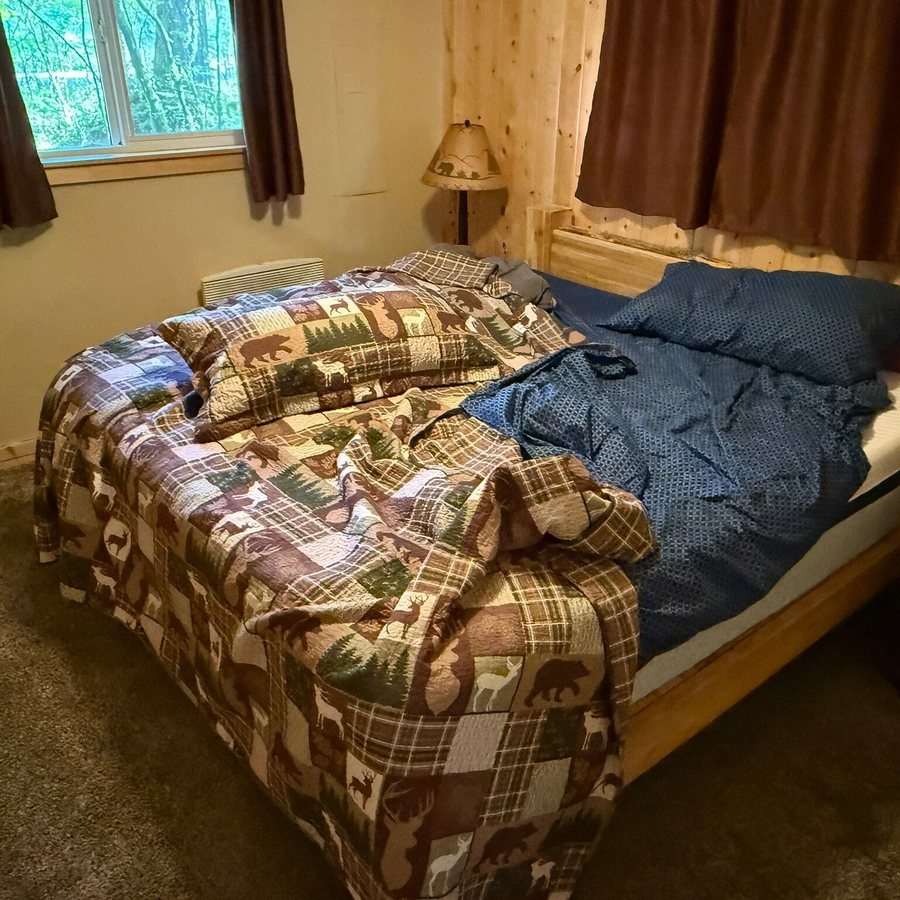 Betsy s Cabins at Mount Rainier — Guest room
