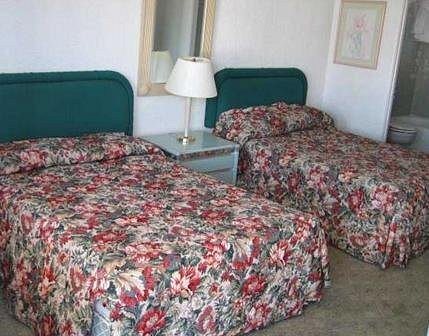 Binns Motor Inn — Guest room