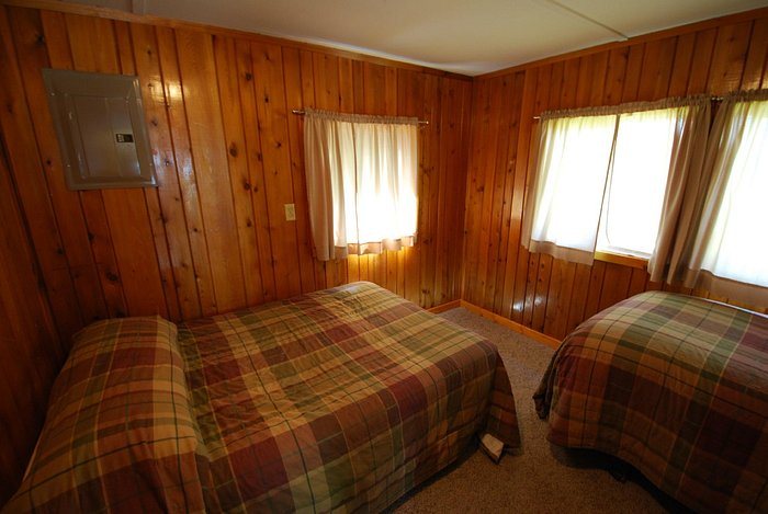 Birch Forest Lodge — Guest room