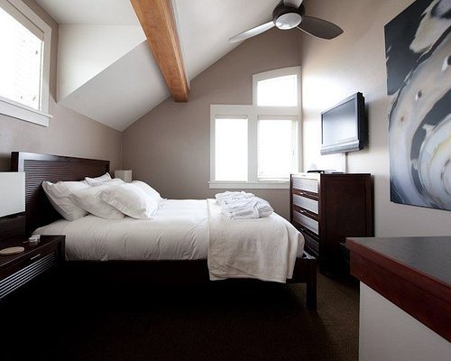 Bird Rock Hotel — Guest room