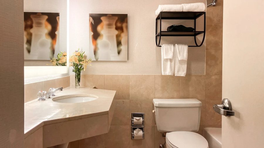 Birdhouse Bed and Breakfast — Bathroom