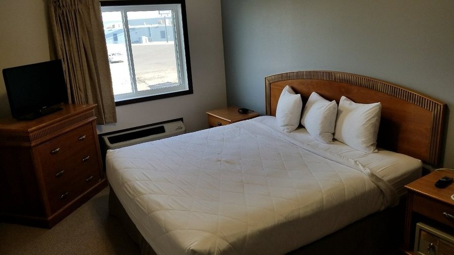 Bison Inn Suites on University — Guest room