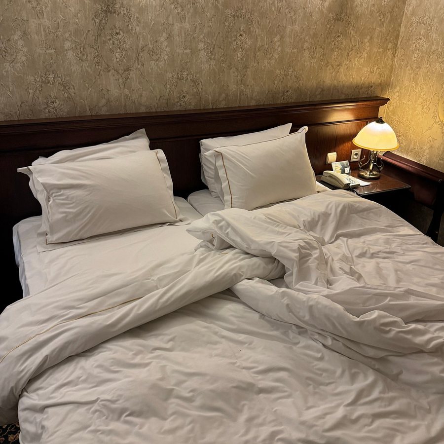 Bistro Germir Palas Istanbul — Guest room