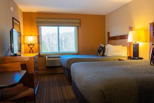 Black Bear Lodge — Guest room