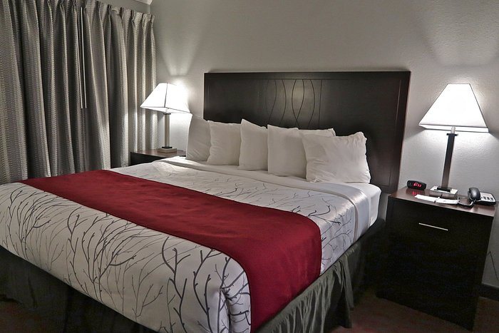 Blackstone Lodge and Suites — Guest room