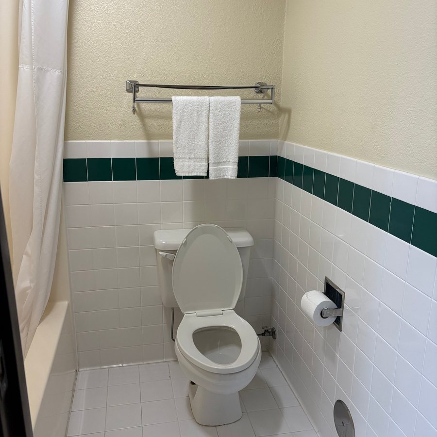 Blossom Hotel Suites Traverse City — Bathroom