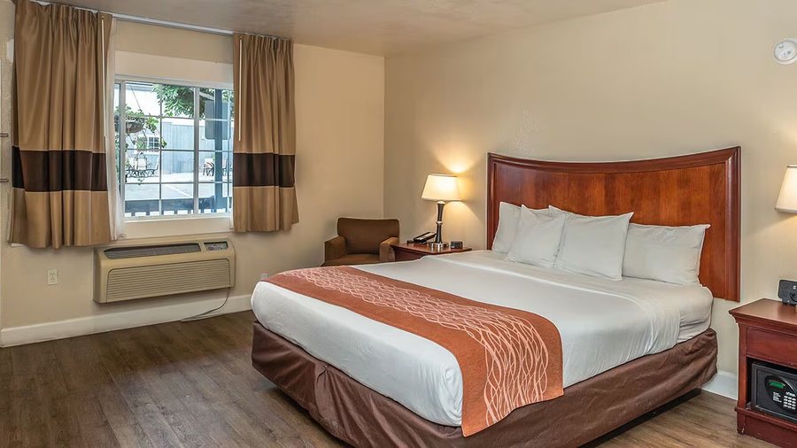 Blu Pacific Hotel — Guest room