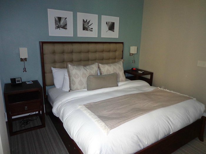 Bluegreen Vacations Studio Homes at Ellis Square — Guest room