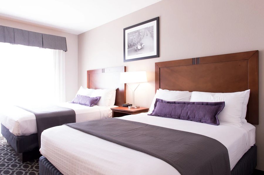 Bluemont Hotel — Guest room