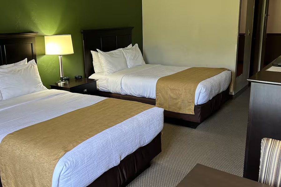 Boarders Inn Suites by Cobblestone Hotels Syracuse — Guest room