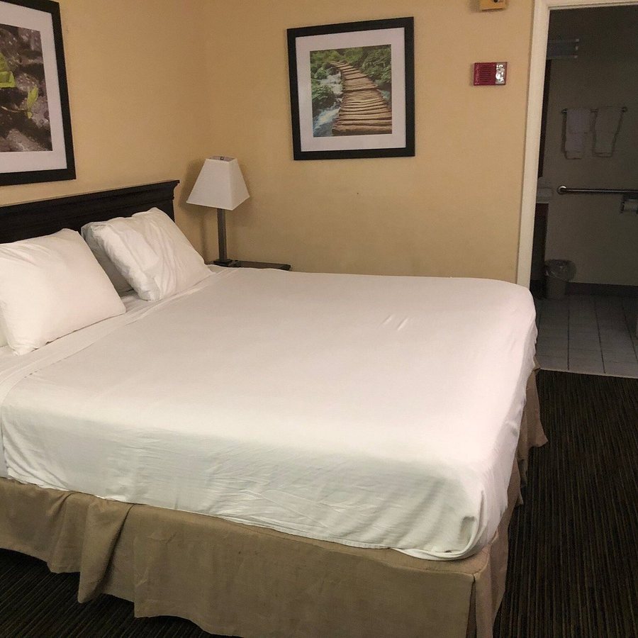 Bonita Lakes Inn by Capital O Meridian I20 — Guest room
